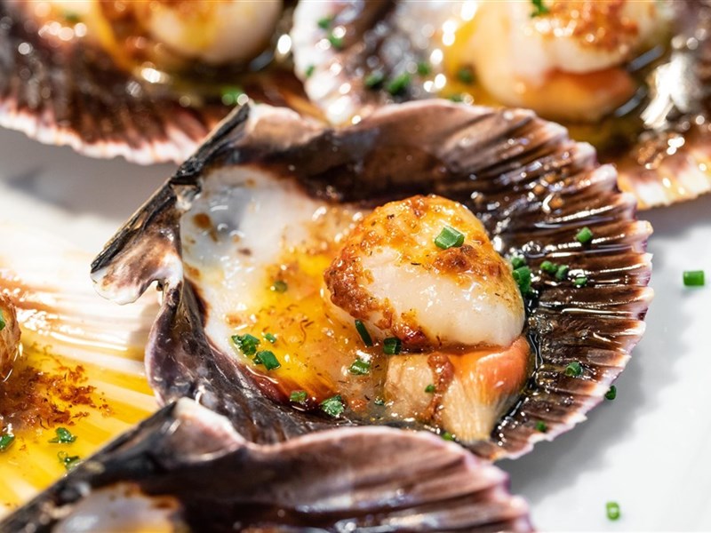 GF GRAN COSTA ADEJE - fotografie