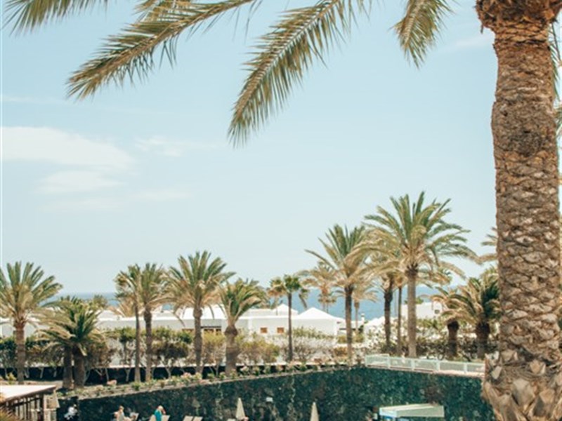 RELAXIA OLIVINA - fotografie