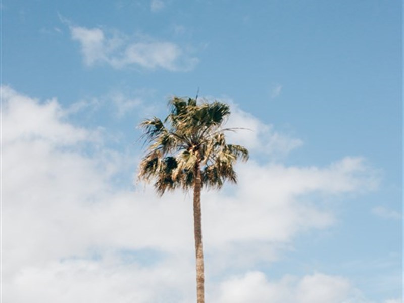 RELAXIA OLIVINA - fotografie