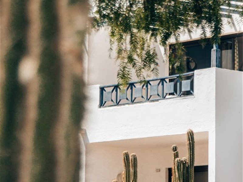 RELAXIA OLIVINA - fotografie