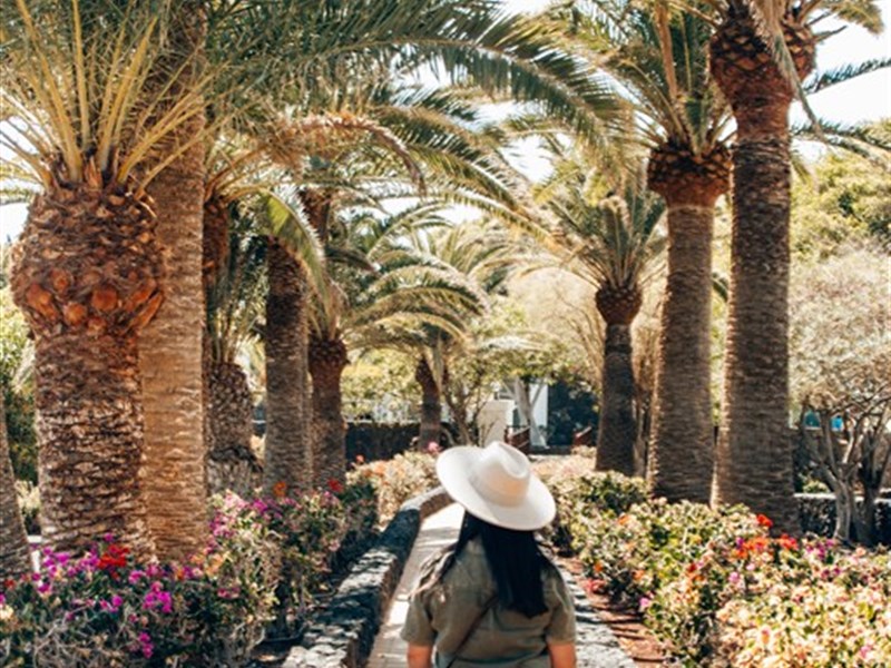 RELAXIA OLIVINA - fotografie