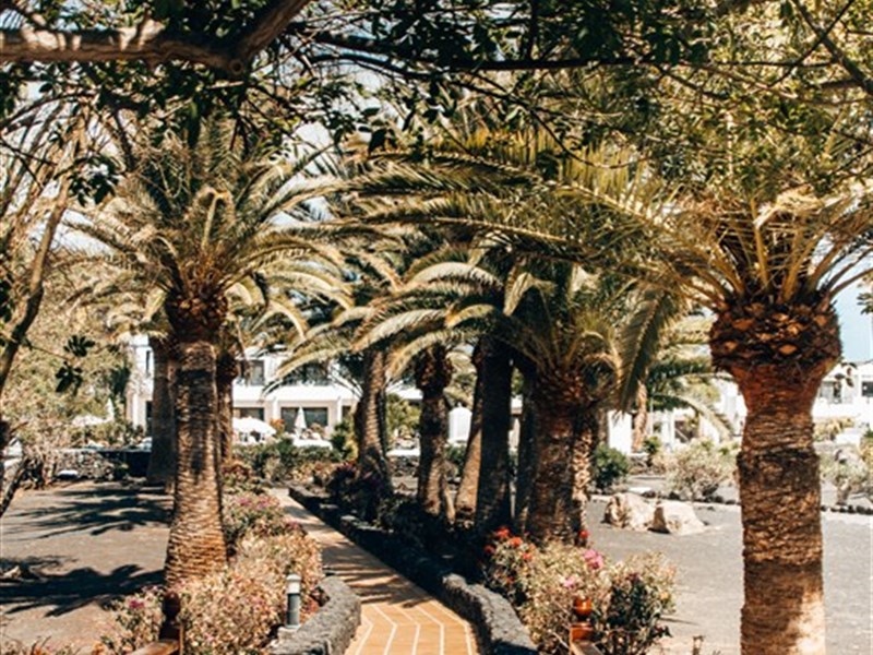 RELAXIA OLIVINA - fotografie