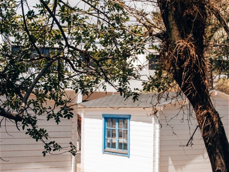 RELAXIA OLIVINA - fotografie