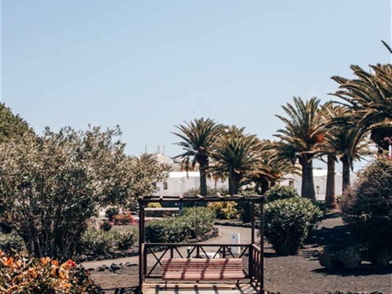 RELAXIA OLIVINA - fotografie