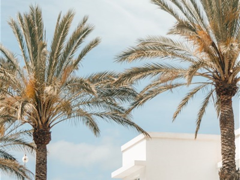 RELAXIA OLIVINA - fotografie