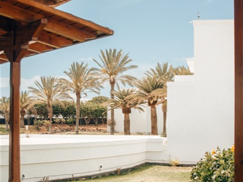 RELAXIA OLIVINA - fotografie