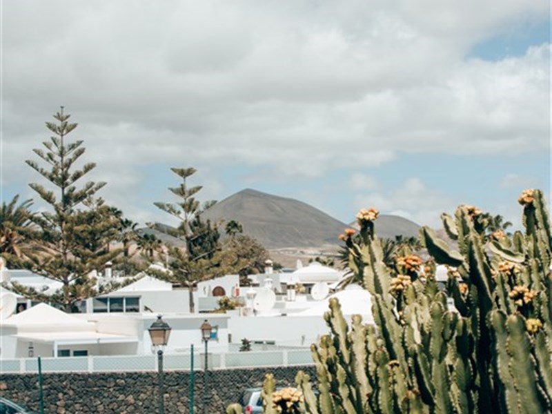 RELAXIA OLIVINA - fotografie