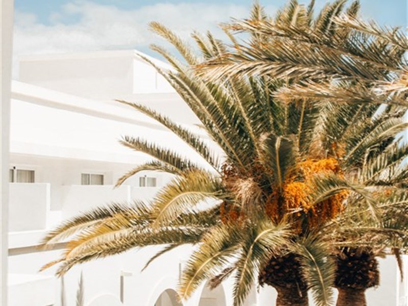 RELAXIA OLIVINA - fotografie