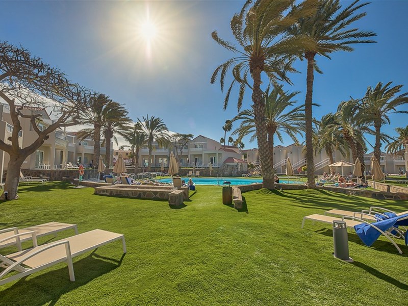 LIVVO KOALA GARDEN - fotografie