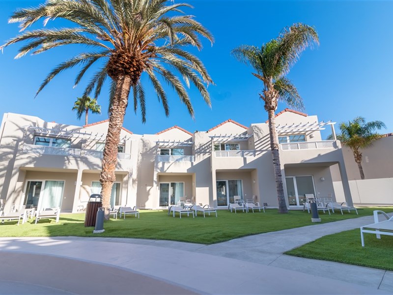 LIVVO KOALA GARDEN - fotografie