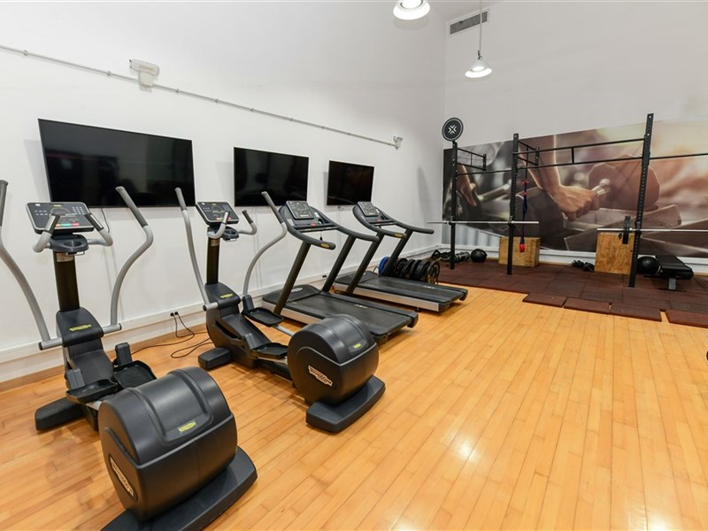 LIVVO KOALA GARDEN - fotografie