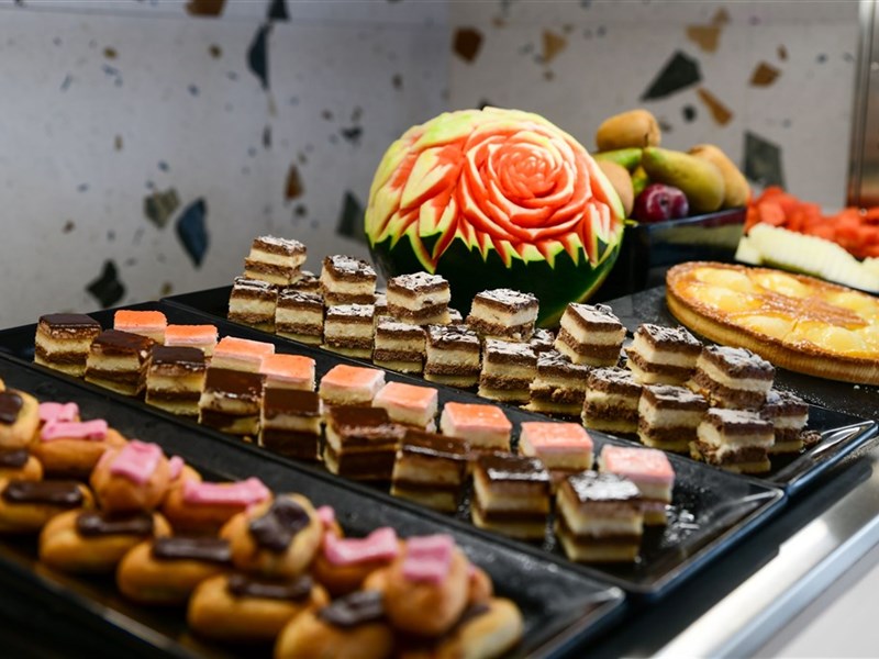 LIVVO KOALA GARDEN - fotografie