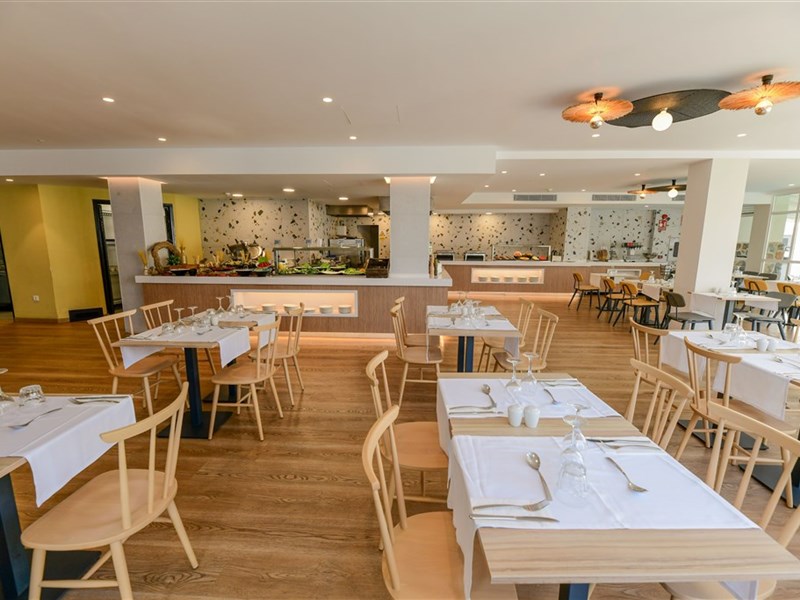 LIVVO KOALA GARDEN - fotografie