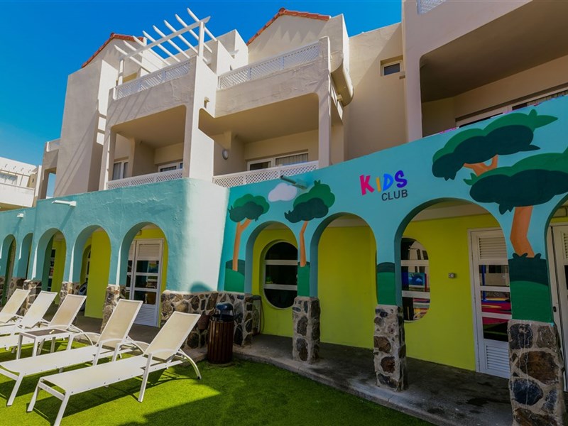 LIVVO KOALA GARDEN - fotografie