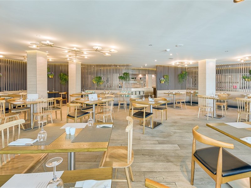 LIVVO KOALA GARDEN - fotografie