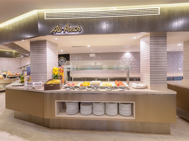 LIVVO KOALA GARDEN - fotografie