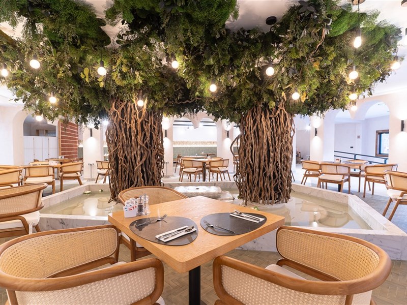 ARENA CASTILLO - fotografie