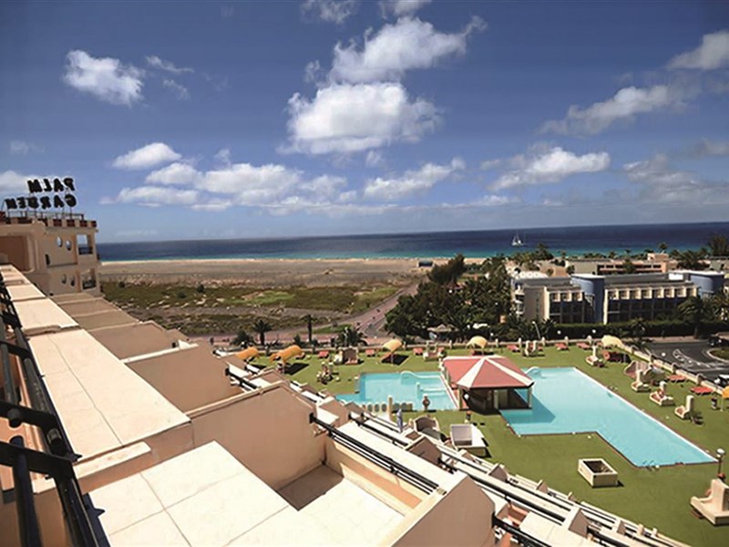 LIVVO PALM GARDEN - fotografie