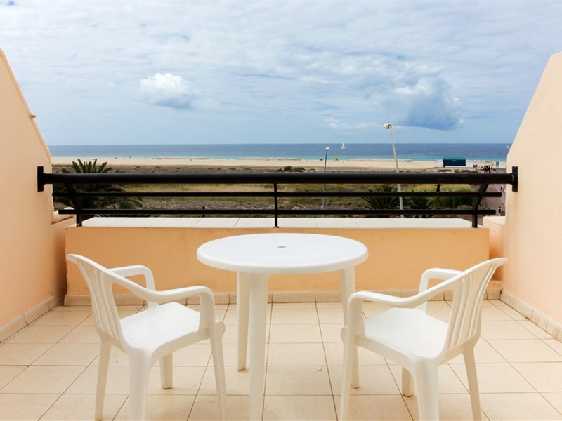 LIVVO PALM GARDEN - fotografie