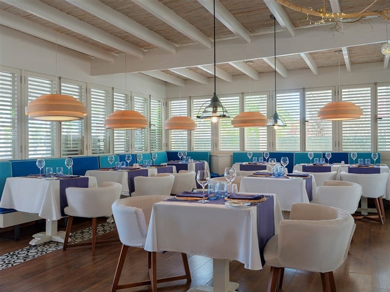 H10 BIG SUR - fotografie