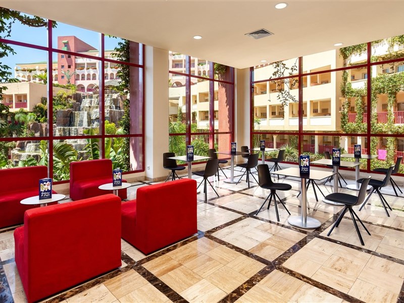 BEST JACARANDA - fotografie