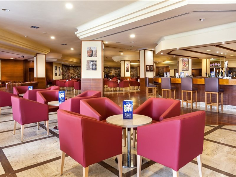 BEST JACARANDA - fotografie