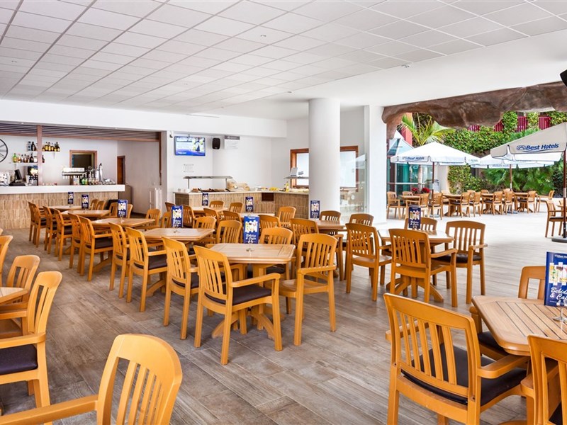 BEST JACARANDA - fotografie