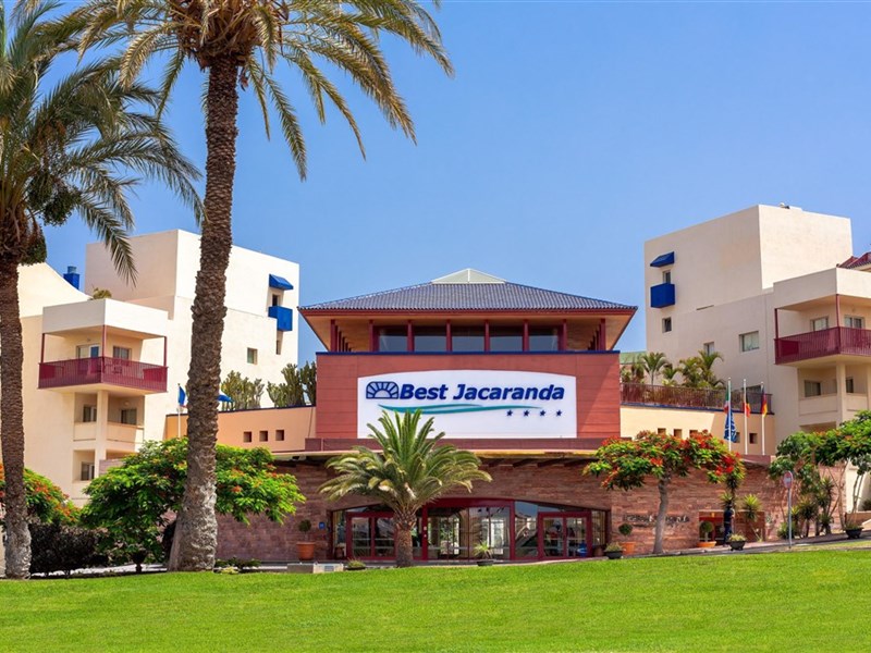 BEST JACARANDA - fotografie