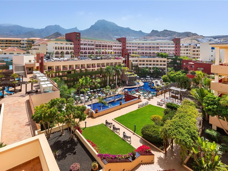 BEST JACARANDA - fotografie