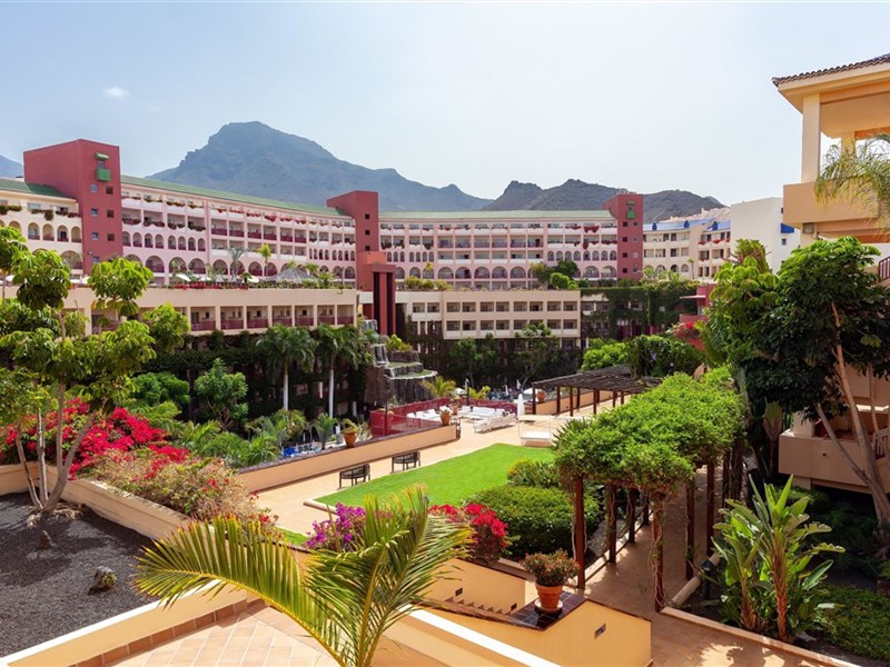 BEST JACARANDA - fotografie