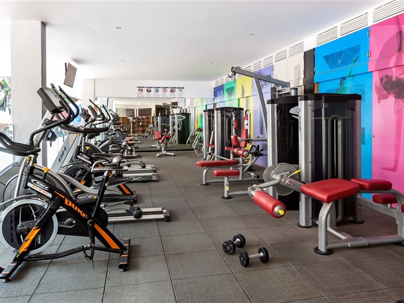 BEST JACARANDA - fotografie