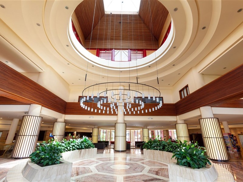 BEST JACARANDA - fotografie