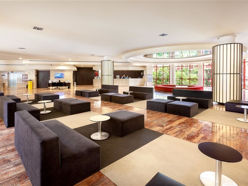 BEST JACARANDA - fotografie