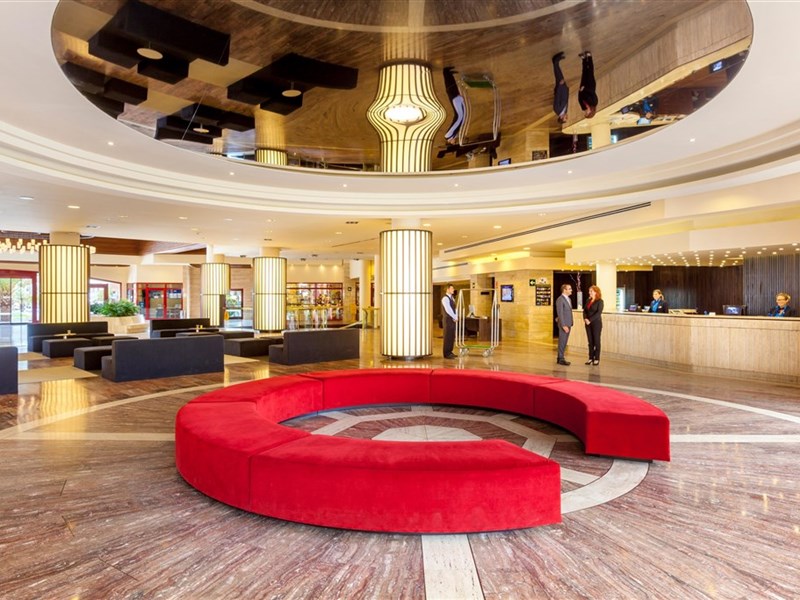 BEST JACARANDA - fotografie