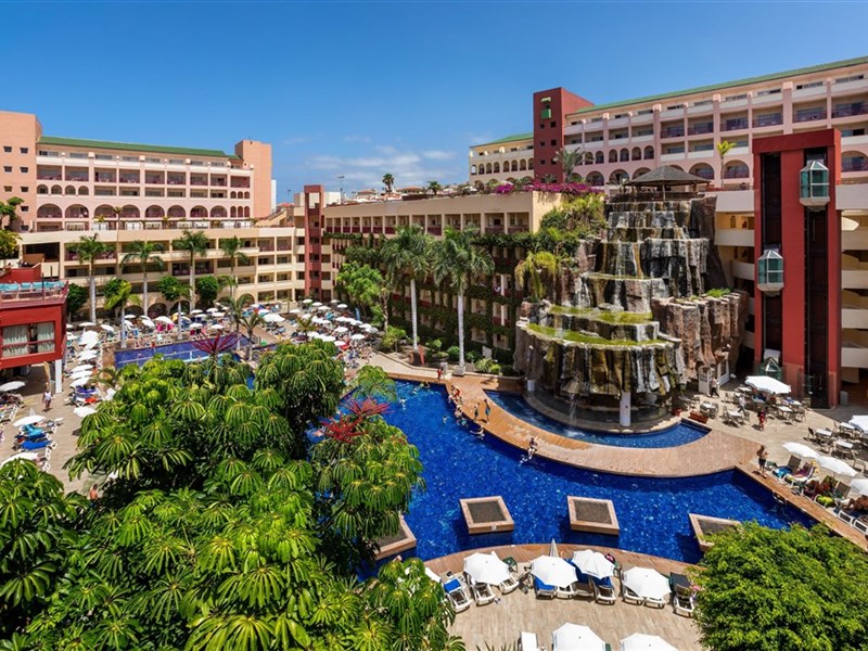 BEST JACARANDA - fotografie