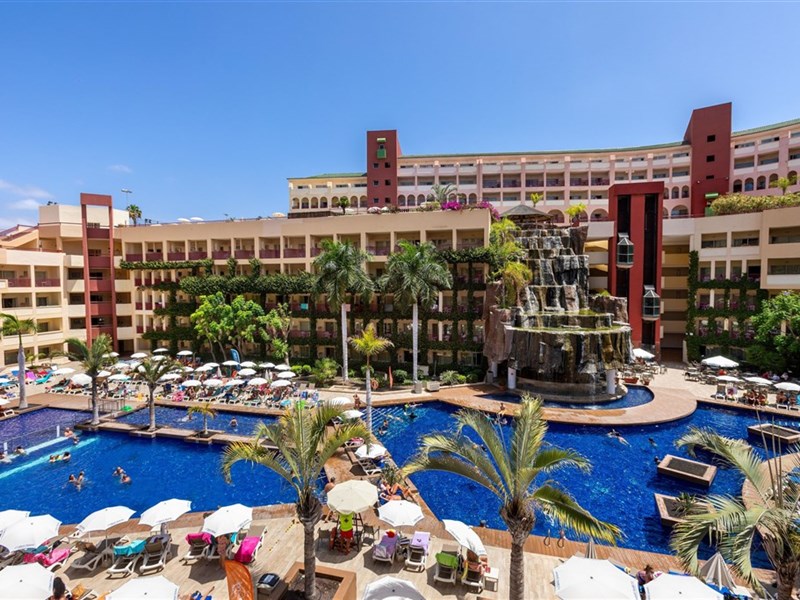 BEST JACARANDA - fotografie