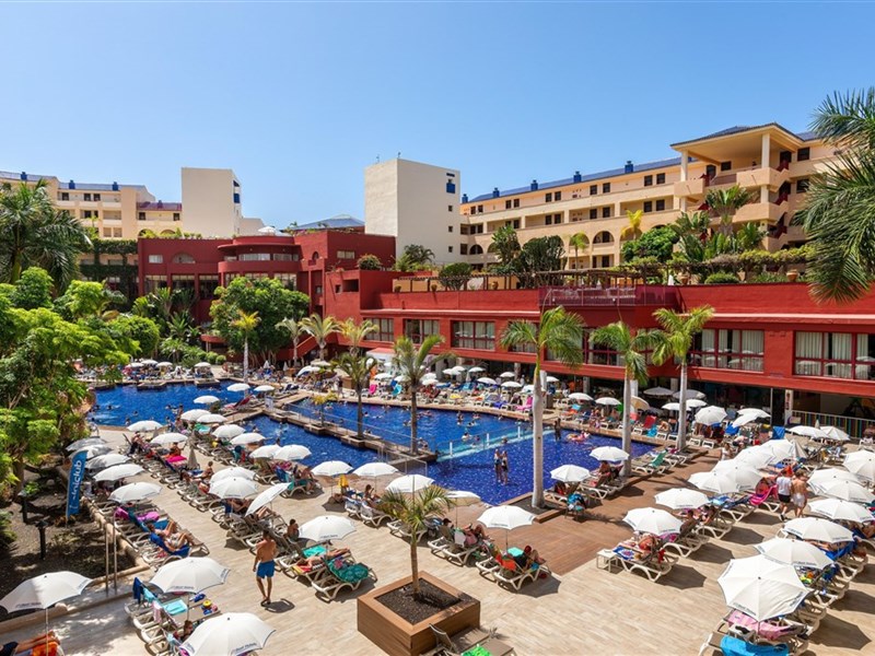 BEST JACARANDA - fotografie