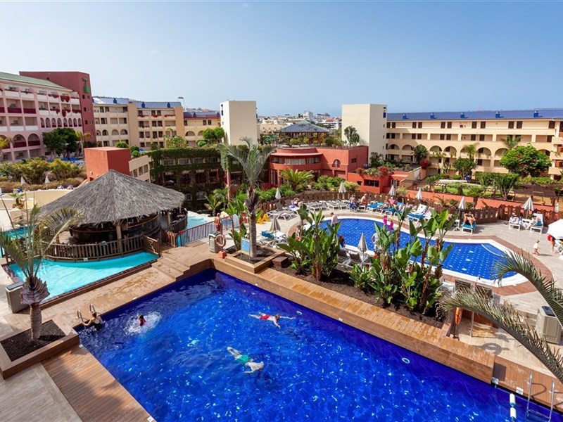 BEST JACARANDA - fotografie