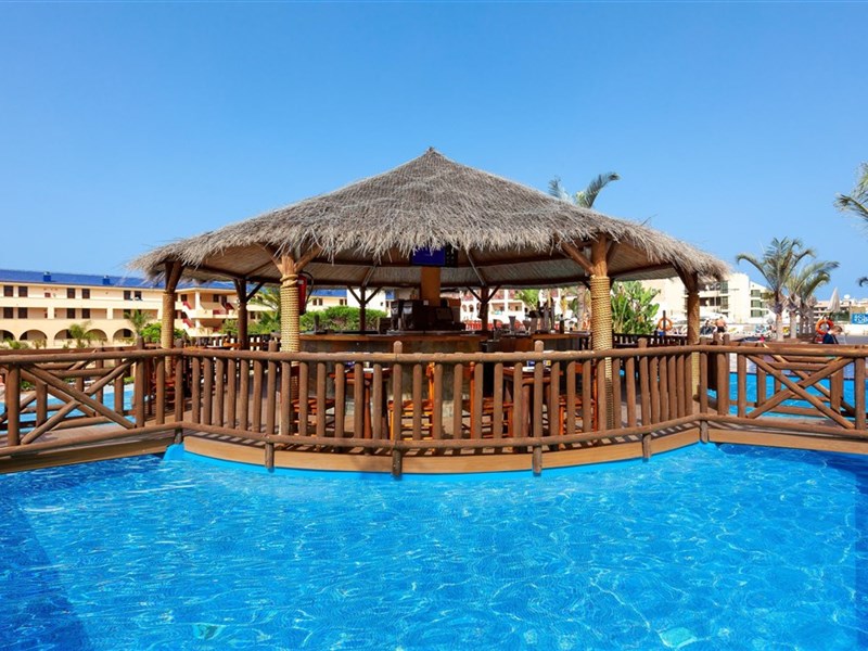 BEST JACARANDA - fotografie