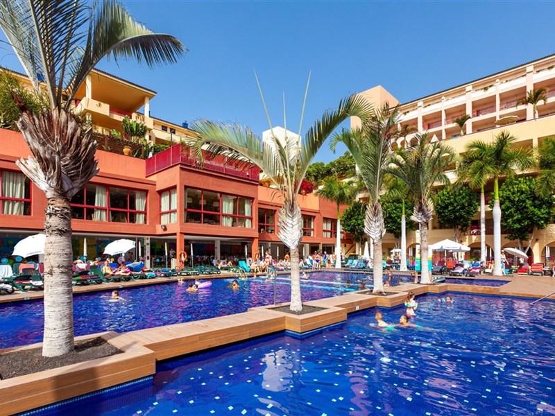 BEST JACARANDA - fotografie