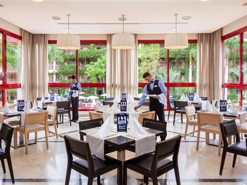 BEST JACARANDA - fotografie