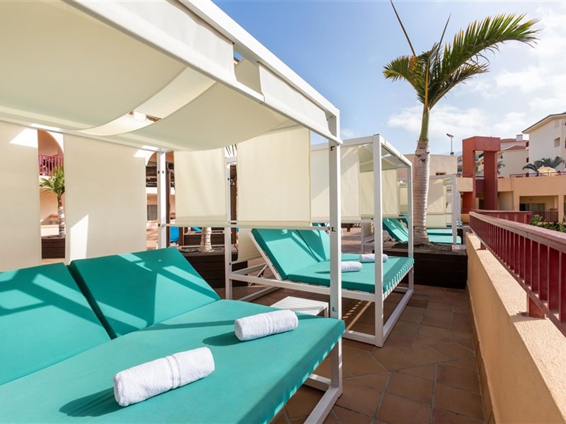 BEST JACARANDA - fotografie