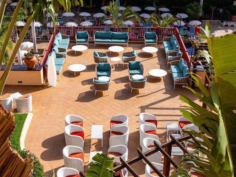 BEST JACARANDA - fotografie