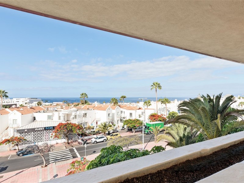 BEST JACARANDA - fotografie