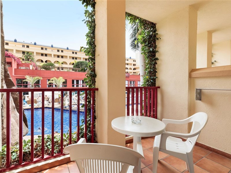 BEST JACARANDA - fotografie