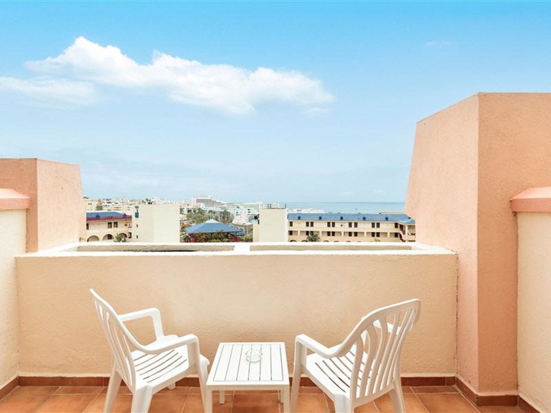 BEST JACARANDA - fotografie