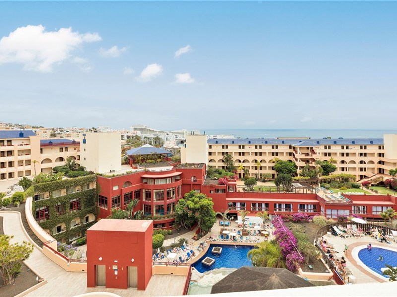 BEST JACARANDA - fotografie