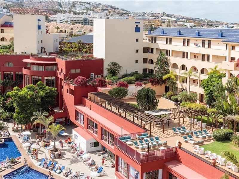 BEST JACARANDA - fotografie