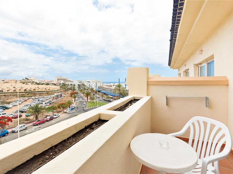 BEST JACARANDA - fotografie