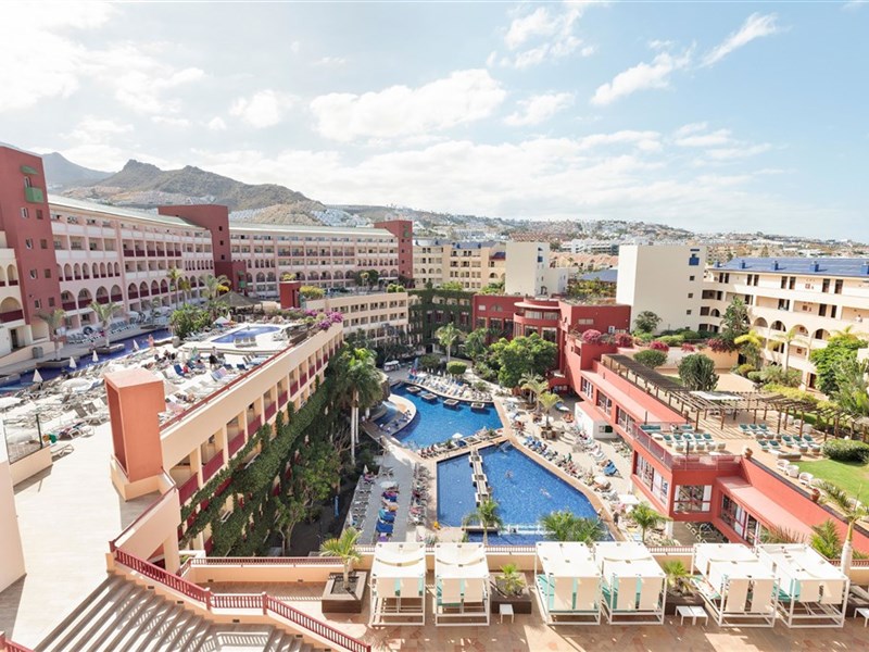 BEST JACARANDA - fotografie